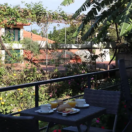 Casa Do Tio Albino Ii Apartment