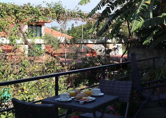 Casa Do Tio Albino Ii, By Op 公寓